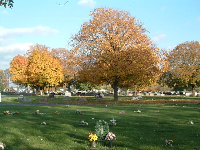 Willow View Cemetery